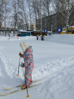 Ходьба на лыжах Ходьба на лыжах.